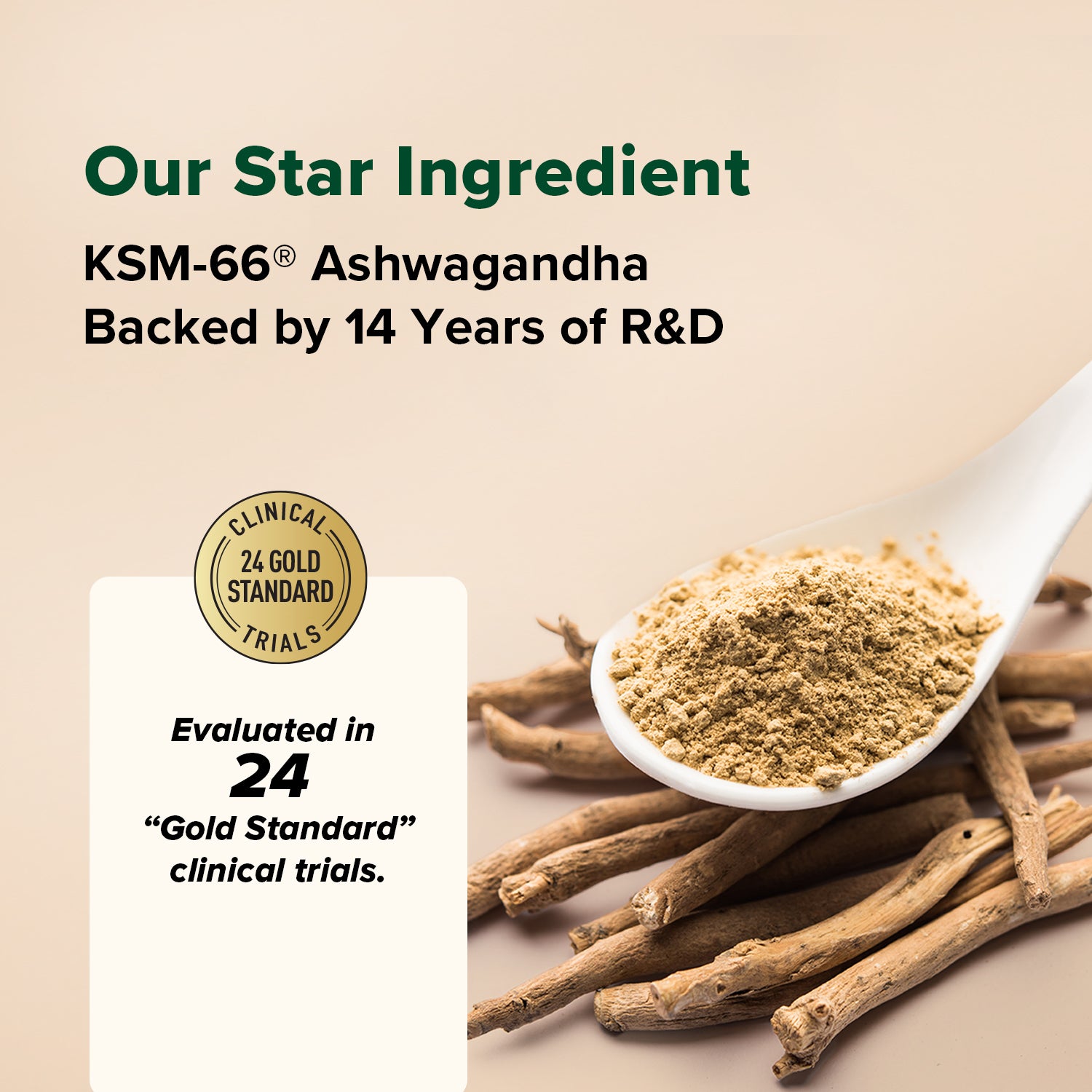 Ashwagandha Coffee 3 Packs (2+1 Free Pack + 7 FREE Gifts worth $48 Additional)
