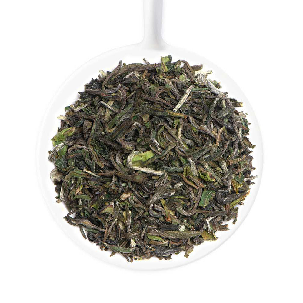 2025 Castleton Premium Darjeeling First Flush Black Tea DJ 42 (Pack of 4)