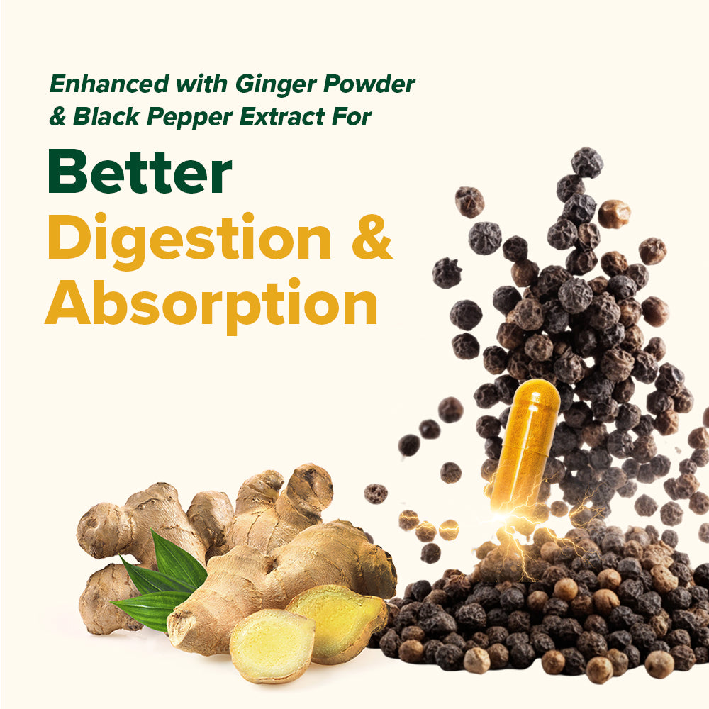 Turmeric Ginger 1500mg Curcumin Capsules with Black Pepper – VAHDAM®