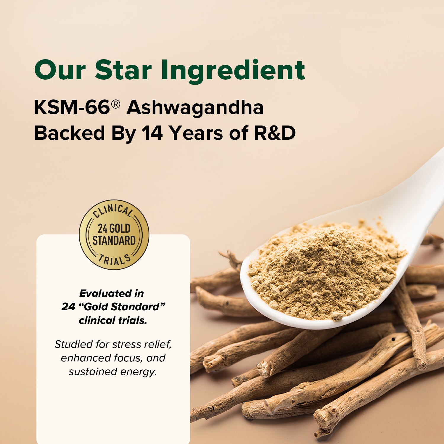 Ashwagandha Coffee (Pack of 2)