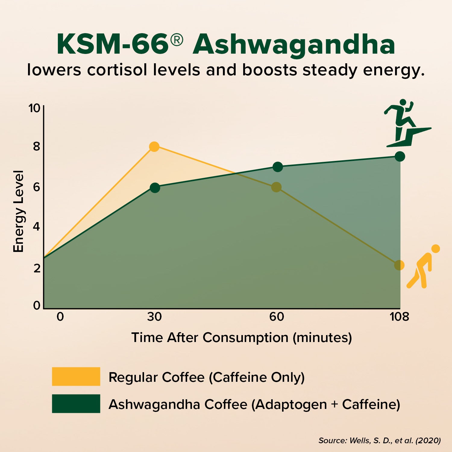 Ashwagandha Coffee for Calm Energy - 80 Servings