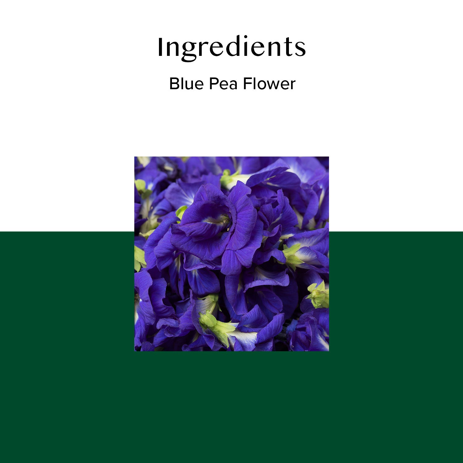 Butterfly Pea Flower Herbal Tea, 40 Count