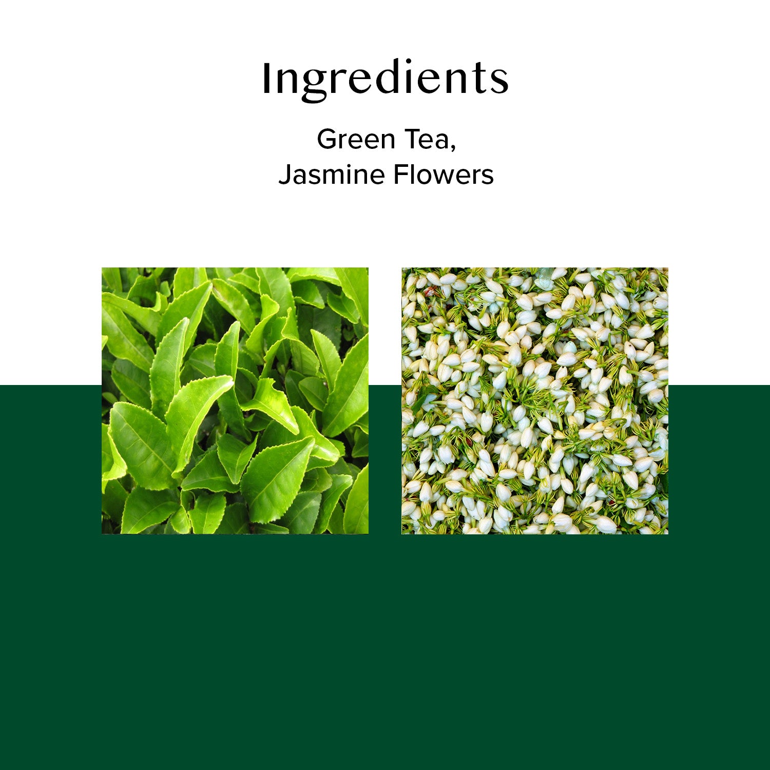 Jasmine Green Tea, 100 Count