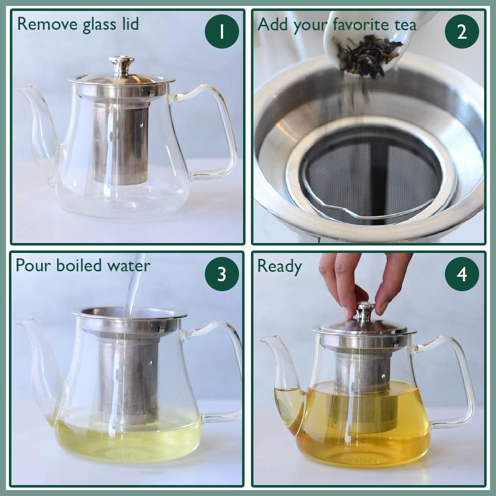Buy Glass Tea Pot with Infuser Online @ Best Price - VAHDAM® USA